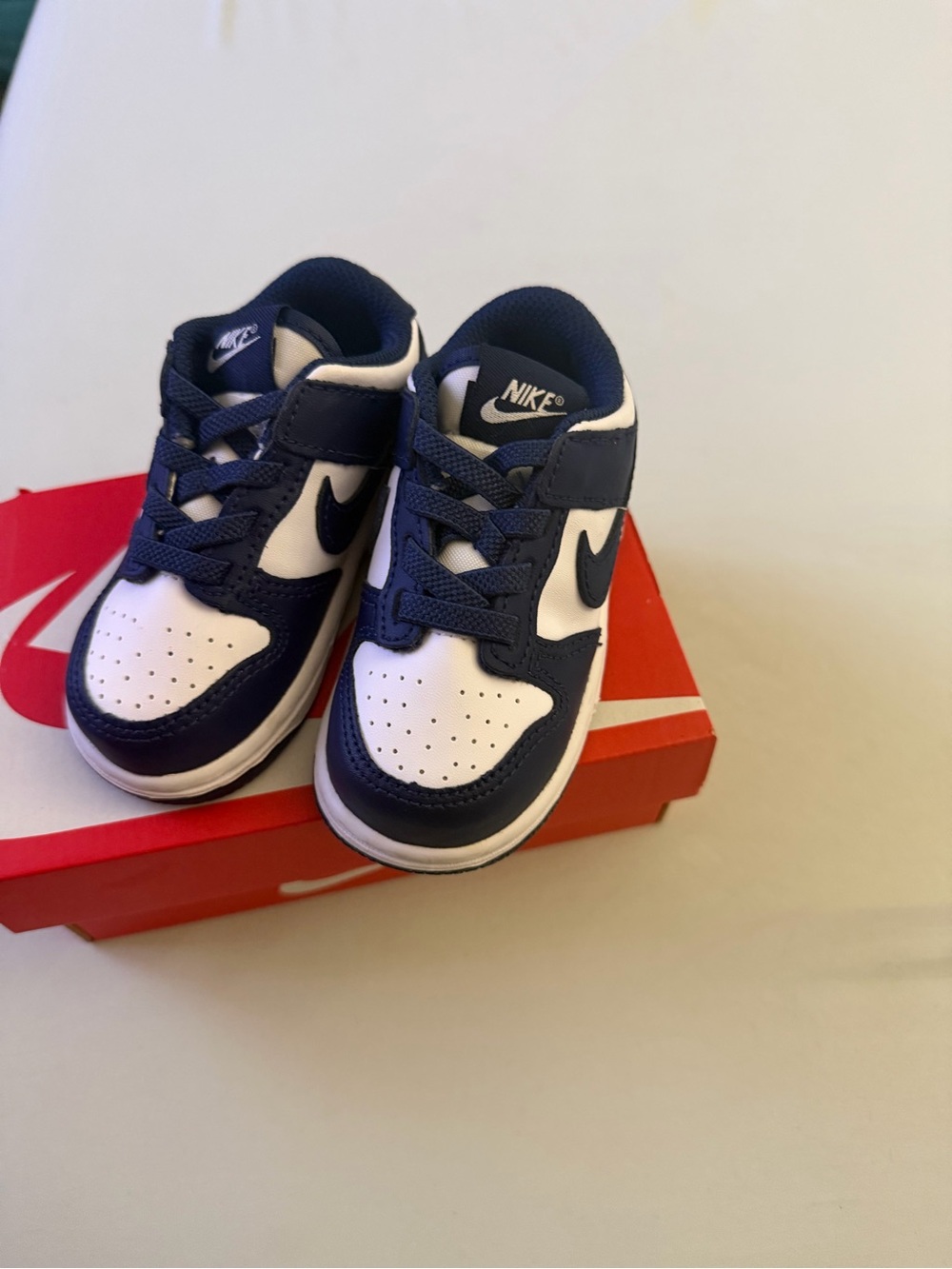 Toddler Nike Dunks